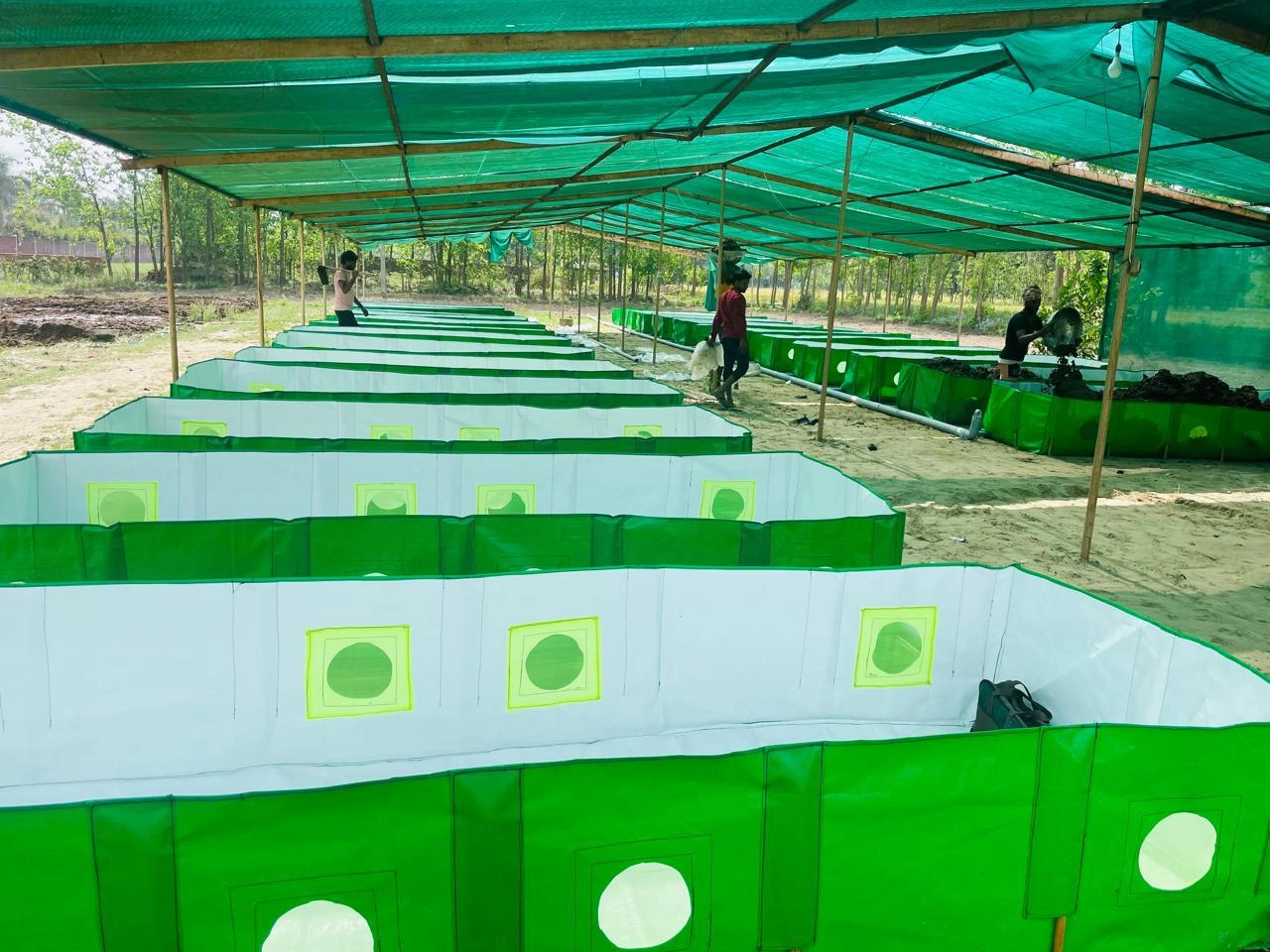 Vermicompost growing applications